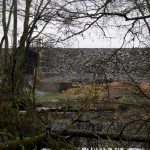 7 IMG_5681