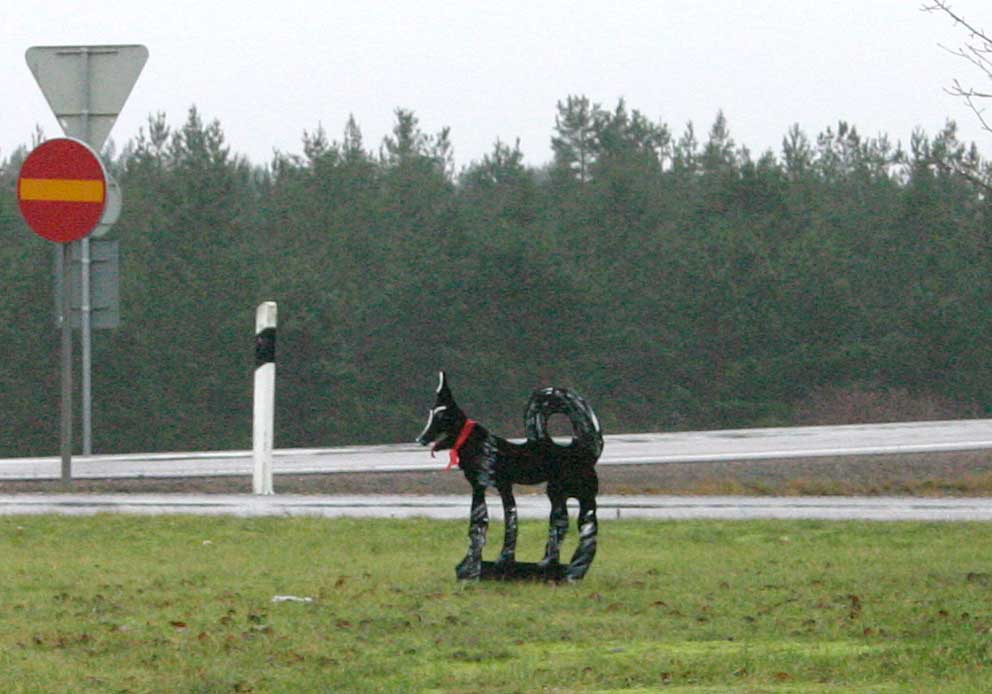 Rondellhund vid Götaström den 25 november 2006