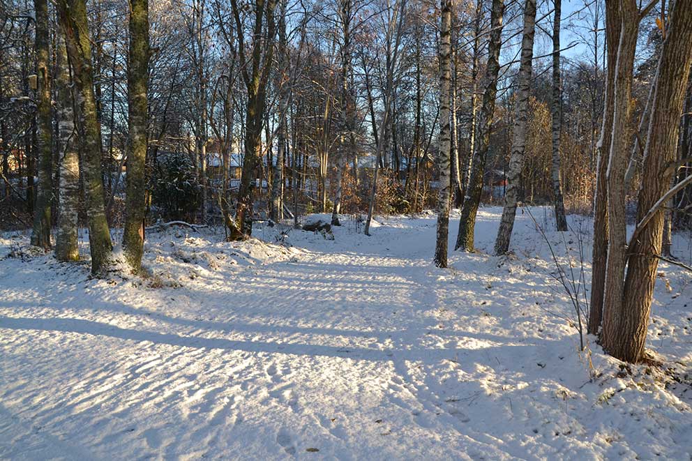 Den södra delen av sträckan vid Åviksstigen ansluter mot Södra Parkvägen vid Södra Park-bron. 